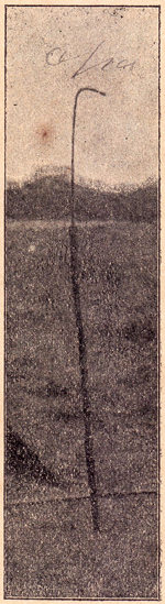 Karti Wisaya, Jakoeb, 1913, #1830: Citra 11 dari 20