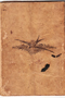 Dasanamajarwa, Dirjaatmaja, 1913, #1168: Citra 8 dari 8