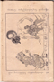 Dewaruci, Tan Kun Swi, 1928, #1212: Citra 3 dari 4