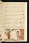 Panji Jayakusuma, Staatsbibliothek zu Berlin (Ms. or. quart. 2112), abad ke-19, #912 (Pupuh 01–15): Citra 28 dari 51