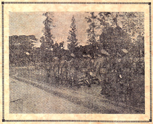 Biwaddha Nata Surakarta, Wăngsalêksana, 1936, #93 (Hlm. 34–73): Citra 2 dari 11